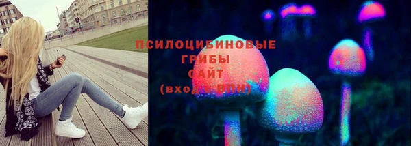 ПСИЛОЦИБИНОВЫЕ ГРИБЫ Бородино