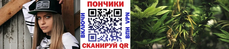 Конопля OG Kush  Ростов 